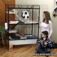 клетка Marshall Ferret Penthouse - Ships by UPS