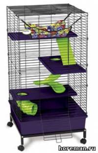 Multi-Floor Ferret Home
