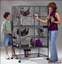 Midwest Ferret Nation клетка для хорьков