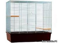 MPS Gabbia Chinchilla