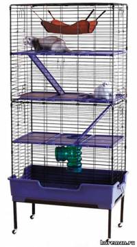 Care Deluxe Multi-Floor Home