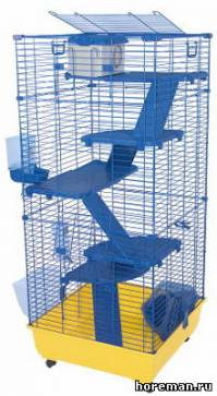 Marchioro Sara 62Q C3