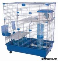 Marchioro Sara 82 C2