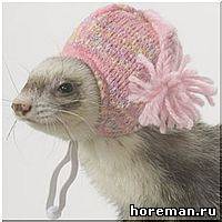 вязаная шапочка