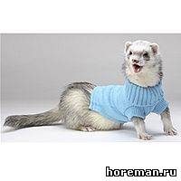 свитер с горлышком