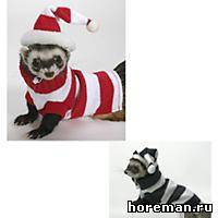 новогодний комплект для хорька