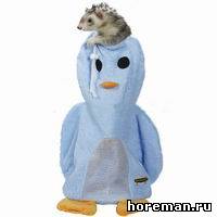 мешок для сушки Marshall Ferret Cologne