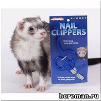 ножницы для стрижки когтей у хорьков