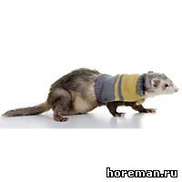 элегантный свитер на липучках