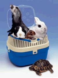 Ferplast Переноска ALADINO