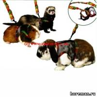 Шлейка для кроликов и хорьков
