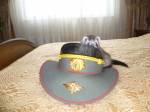Дочь полка