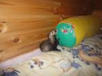 Сядим, отдохнем