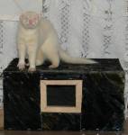 домик