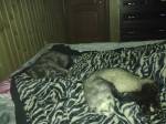 Вот так мы отдыхаем в weekendы_2