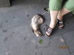 устала...
