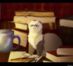 Ferret's Books