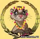 весенний хорёк