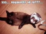 Челси