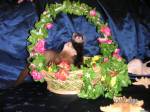 Корзина для мамы.