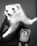 :D