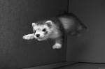 I believe, I can fly.... :)
