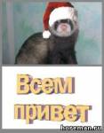 всем привет......