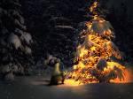 Новогодняя ночь