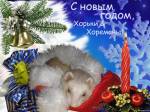Новый год в гости идёт...