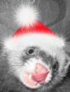 С Новым Годом!!!