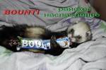 BOUNTI - райское наслаждение!!!