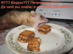 Я не воришка!!!