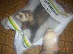 макарошки мои =)