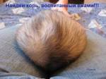 Найден хорь, воспитанный ежами!!!