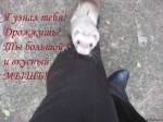 Я узнал тебя! =)