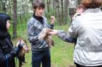 День Хорька 2011
