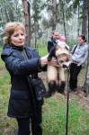 День Хорька 2011