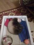 Приехали поели и уснули