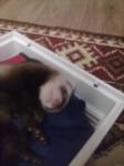 его первый день у меня
