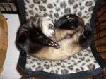 Sweet dreams :)
