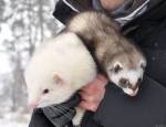 Согрей нас