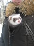 Глаша