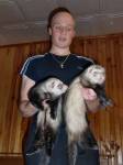 Висюльки